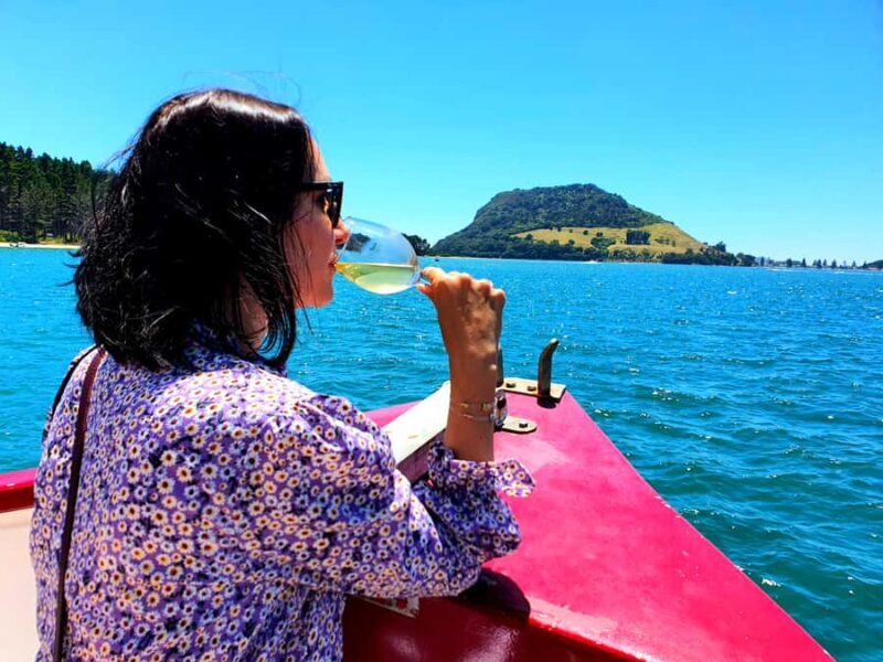 Tauranga: Mount Maunganui Harbour Sightseeing Cruise - Key Points