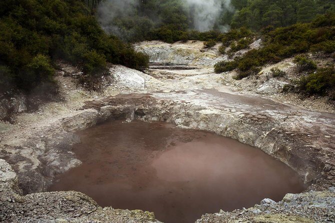 Tauranga Private Tour - Rotorua Geysers & Wai O Tapu Wonderland. - A Closer Look at the Tour Experience