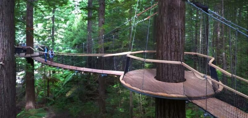 Tauranga: Rotorua Redwoods Tour & Maori Village Experience - Exploring Rotorua: Redwood Trees and Maori Culture in One Day