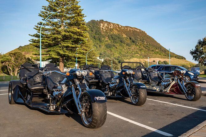 TAURANGA SHORE EXCURSION: Epic 25 min V8 Trike tour of Mt Maunganui & Tauranga - Final Thoughts: Who Will Love This Tour?