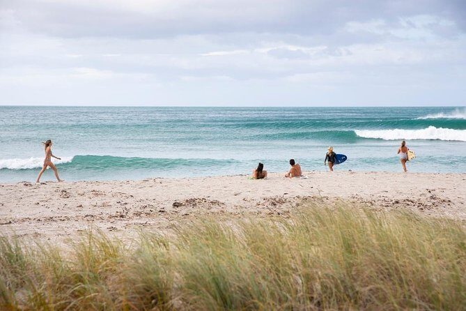 Tauranga Shore Excursion: Top Half Day Curated Highlights Tour - McLaren Falls Park & Waterfall Walk