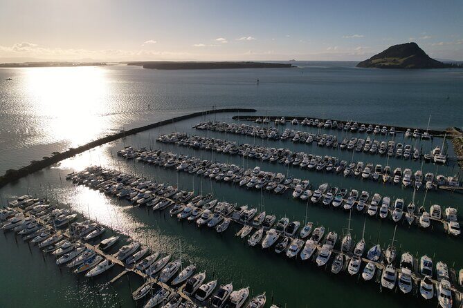 Tauranga Shore Excursion: Top Half Day Curated Highlights Tour - Additional Highlights and Practical Details