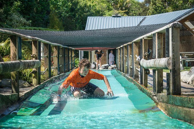 Tauranga: Waimarino Adventure Park - What to Expect at Waimarino Adventure Park