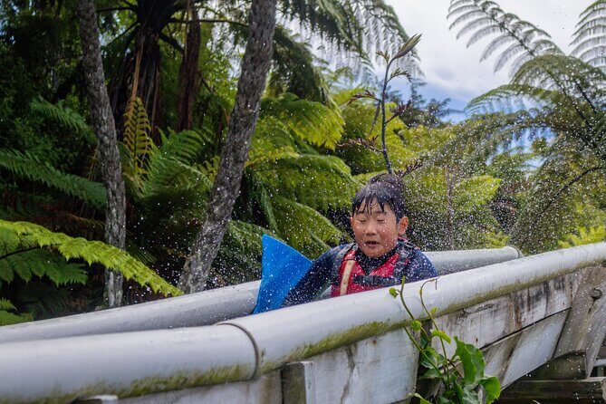 Tauranga: Waimarino Adventure Park - Final Thoughts