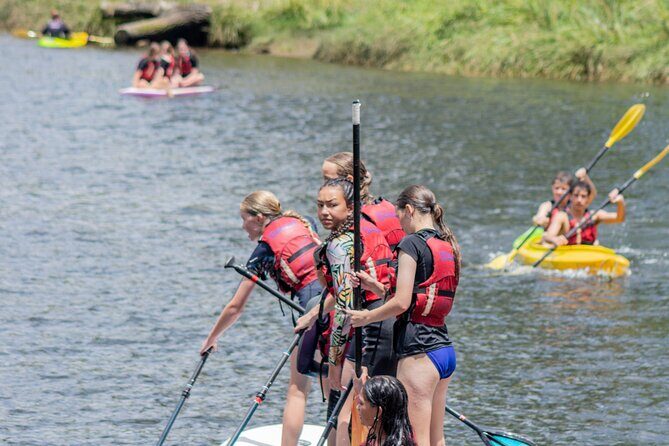 Tauranga: Waimarino Adventure Park - FAQs