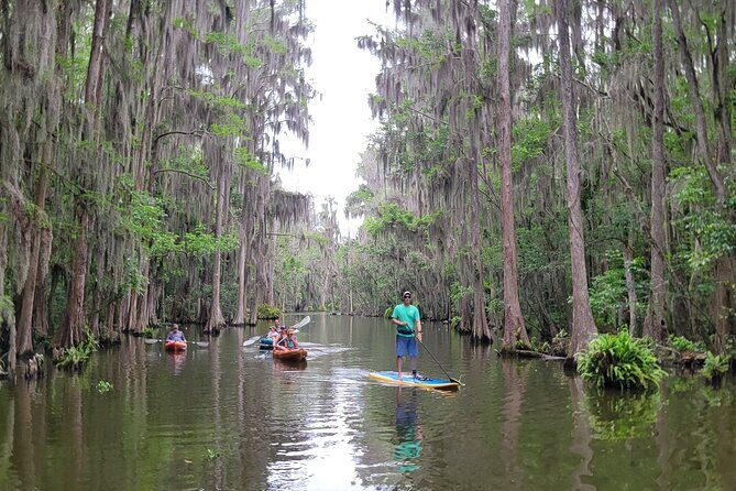 Tavares Poppy's Sweet Paddle Adventure with Ice Cream - The Practical Aspects