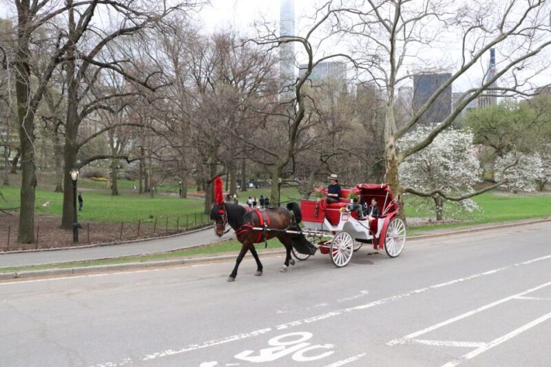 Tavern on the Green PickUp&DropOff With Horse Carriage Ride - Key Points