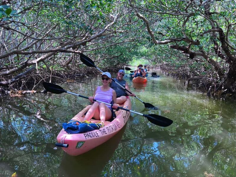 Tavernier, FL: Mangrove and Manatees Guided Kayak Eco Tour - Final Words: Is It Worth It?