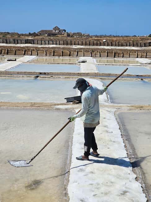 Tavira City & Olive Factory - Discovering Tavira in a Different Way