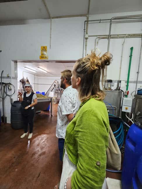 Tavira City & Olive Factory - FAQ