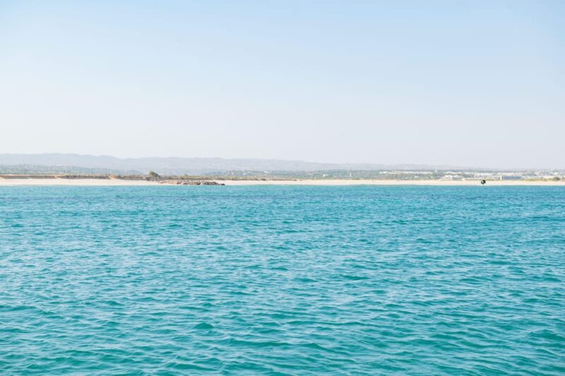 Tavira: Passeio Half Day - Who Will Love This Experience?