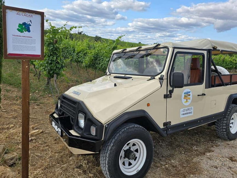 Tavira, Santa Luzia & Wine Tasting - An In-Depth Look at the Tour Experience