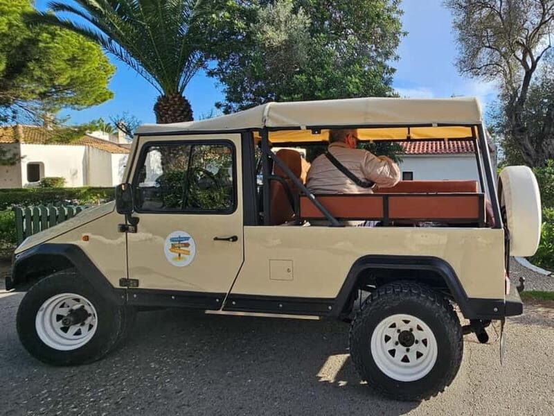 Tavira, Santa Luzia & Wine Tasting - Why Choose This Experience?