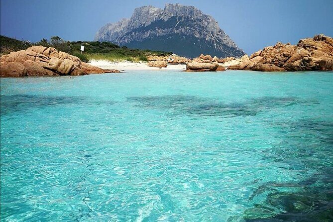 Tavolara Marine Protected Area Tour (GROUP) - The Itinerary in Detail: What You Can Expect