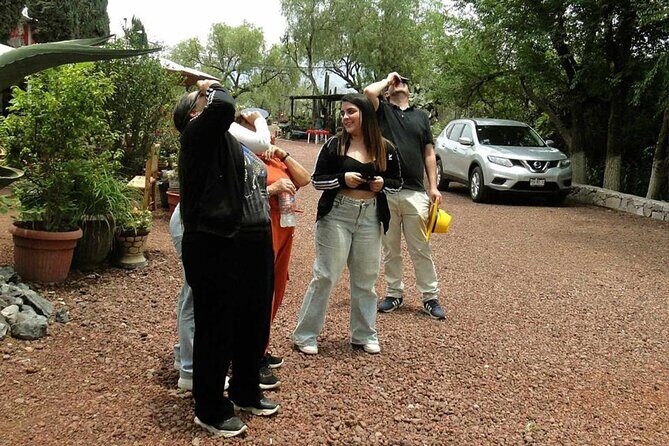 Taxco and Cuernavaca Tour from CDMX - The Sum Up: Who Is This Tour Best For?