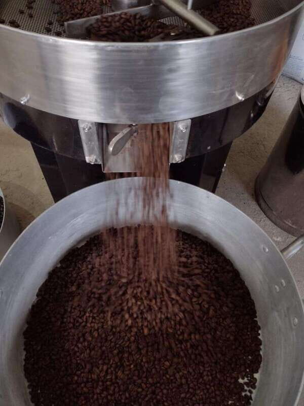 Taxco: Organic Coffee Garden Experience - Overview and Practicalities