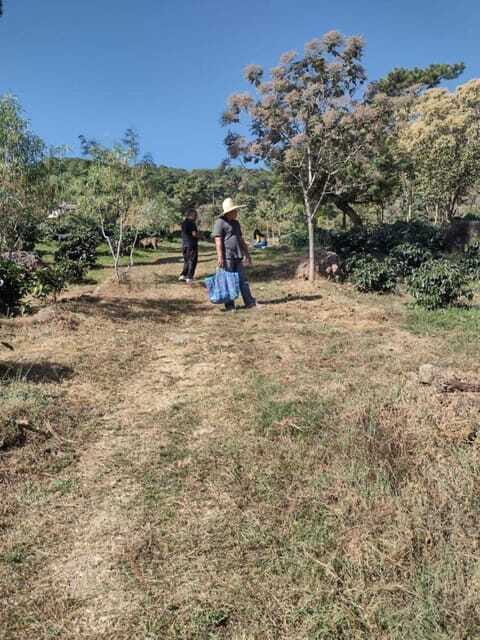 Taxco: Organic Coffee Garden Experience - Who Should Consider This Tour?