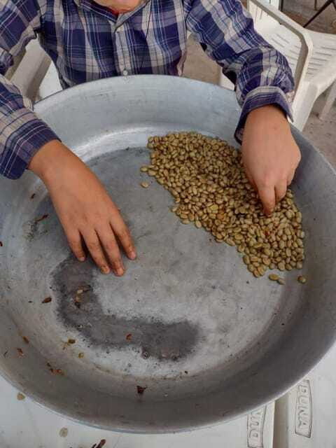 Taxco: Organic Coffee Garden Experience - The Sum Up