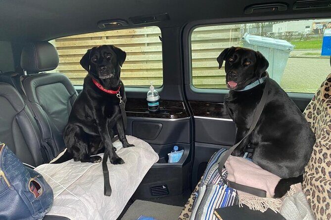 Taxi, Airport Transfer and Limousine Service in Switzerland - Who Will Love This Service?