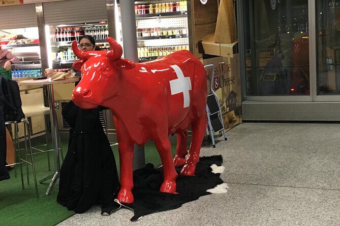 Taxi, Airport Transfer and Limousine Service in Switzerland - FAQ