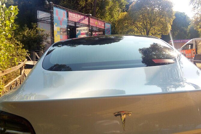 Taxi transfer to Civitavecchia - Final Thoughts