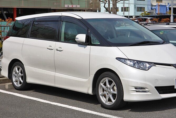 Tbilisi Airport Arrival Private Transfer To Accommodation & Hotel - The Experience in Detail