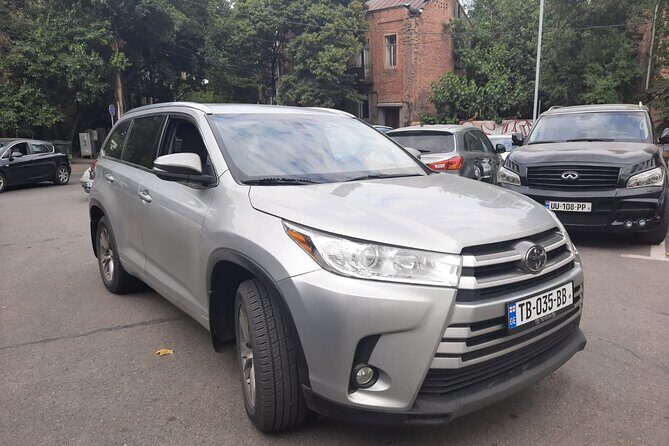 Tbilisi Airport Round-Trip Transfer - What to Expect from the Tbilisi Airport Round-Trip Transfer