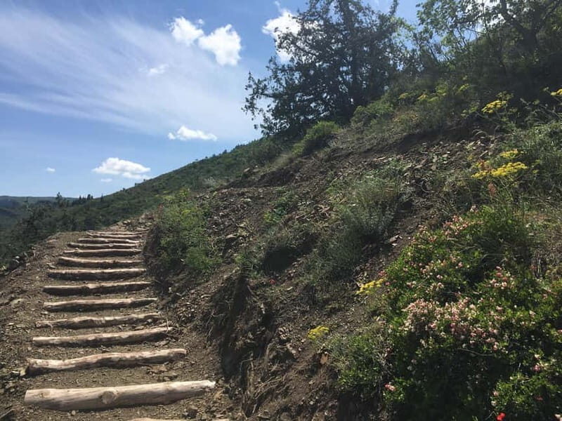 Tbilisi: Delightful Trail over the City - Practicalities and Tips