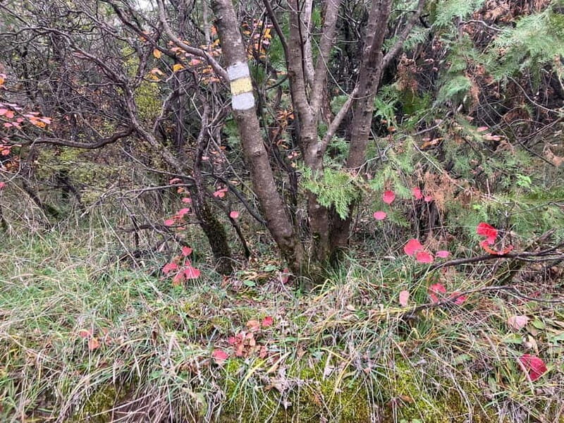 Tbilisi: Delightful Trail over the City - FAQs