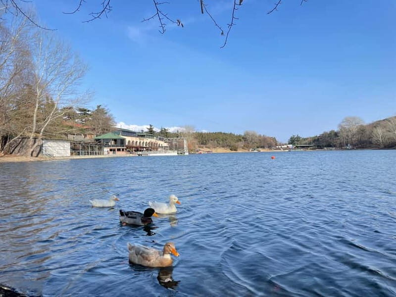 Tbilisi: Elegance of Traditional Architecture & Turtle Lake - Exploring the Open-Air Museum of Georgian Heritage