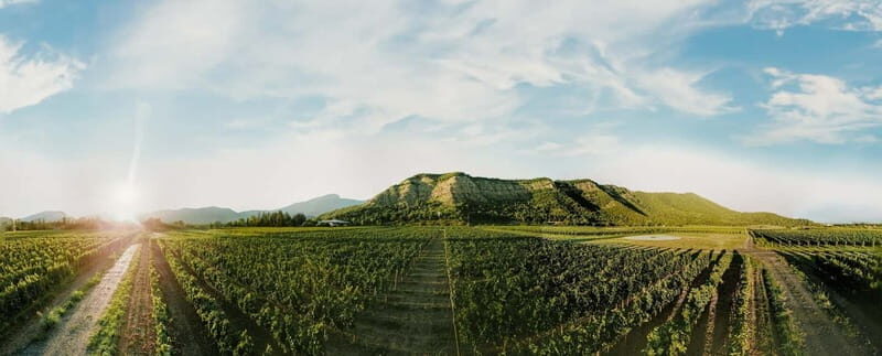 Tbilisi: Kakheti Horse Riding, Wine Tasting, and Cooking - FAQs