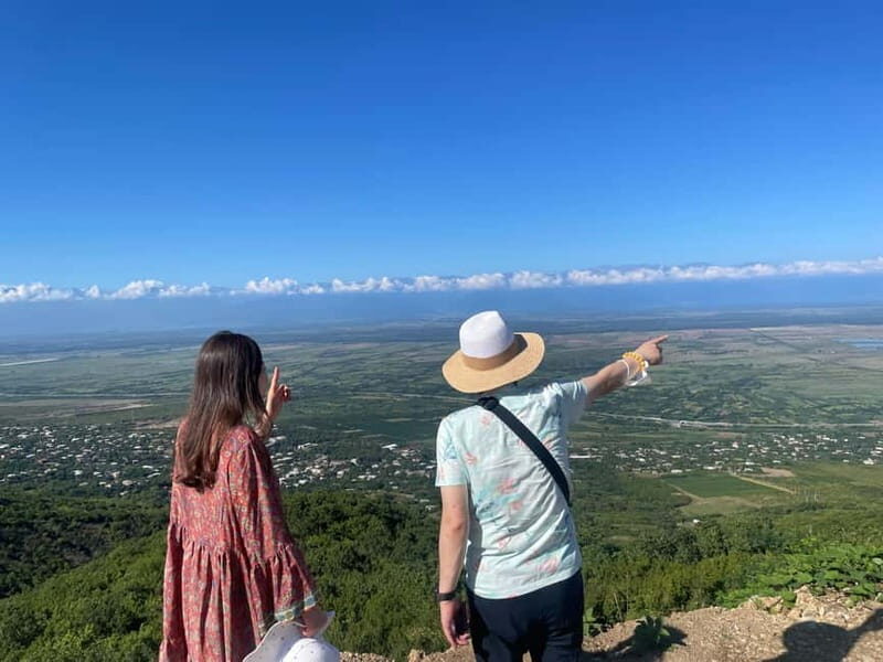 Tbilisi: Kakheti Private Wine Tour with Family Lunch - Summary