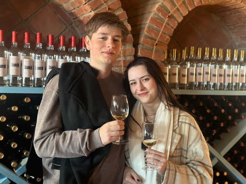 Tbilisi: Kakheti Wine Region Tour with 10 Wine Tastings - An In-Depth Look at the Kakheti Wine Region Tour