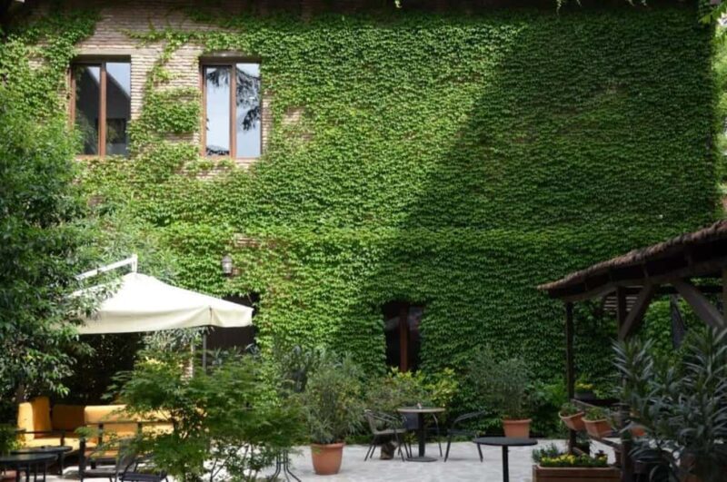 Tbilisi: Kazbegi Tour with 4-Star Hotel Stay & Meals - An In-Depth Look at the Kazbegi Tour Experience