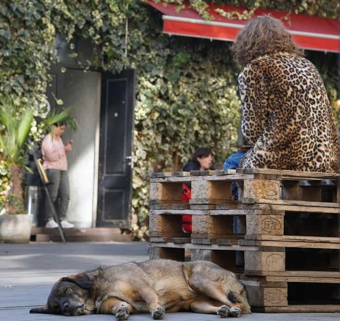 Tbilisi: Left Bank Alternative Street Food Tour with Drinks - Practical Details and Considerations