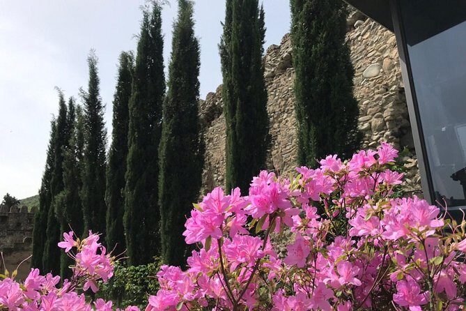 Tbilisi & Mtskheta bus tour hop on hop off - Who Should Consider This Tour?