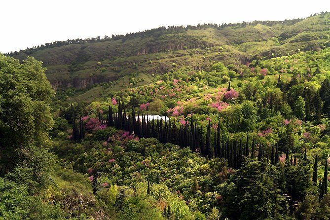 Tbilisi & Mtskheta city tour - What Reviewers Say