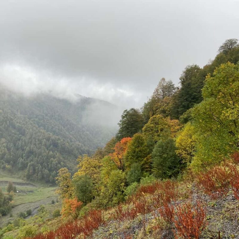 Tbilisi: Pankisi Gorge Horse Riding Tour with Dinner - Key Points