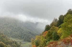 Tbilisi: Pankisi Gorge Horse Riding Tour with Dinner - Practical Details and What to Know