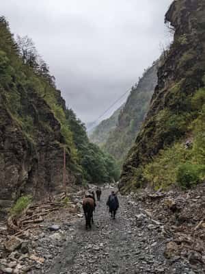 Tbilisi: Pankisi Gorge Horse Riding Tour with Dinner - Final Thoughts