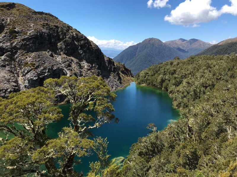 Te Anau: 30-Minute Fiordland National Park Scenic Flight - Final Thoughts