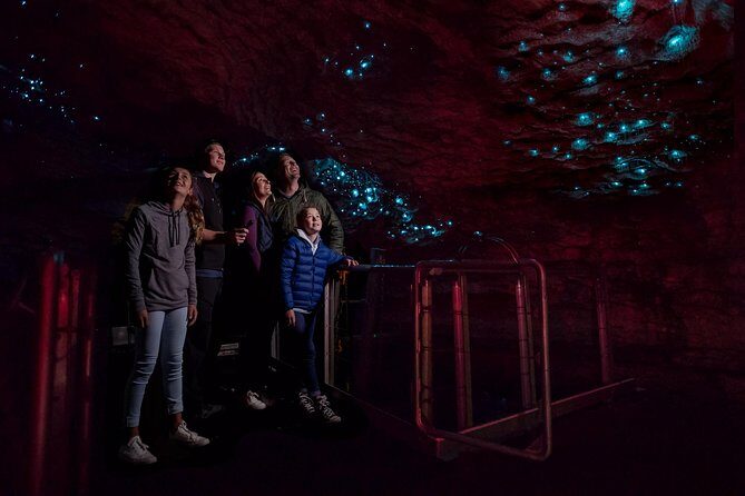 Te Anau Glow Worm Caves Tour - An In-Depth Look at the Tour Experience