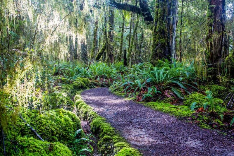 Te Anau: River Jet Boat and Bike Ride Tour with Local Guide - The Sum Up