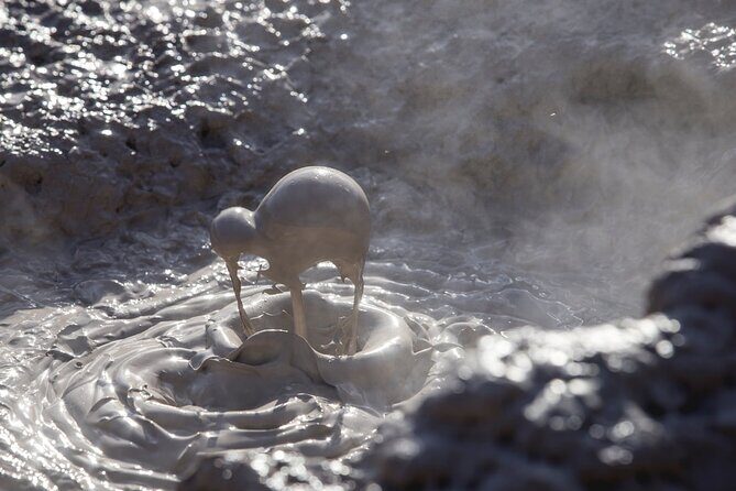 Te Puia Geothermal, Kiwi and Mori Art - Key Points