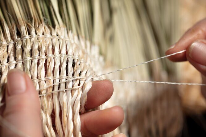 Te Puia Geothermal, Kiwi and Mori Art - Final Thoughts