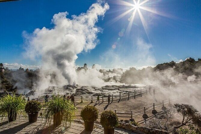 Te Puia Geothermal Valley - Rotorua - Key Points
