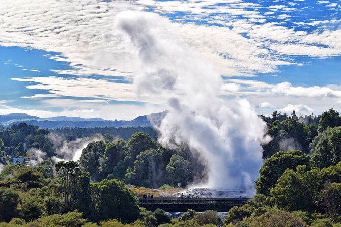 Te Puia Geothermal Wonderland Private Tour From Auckland - Key Points