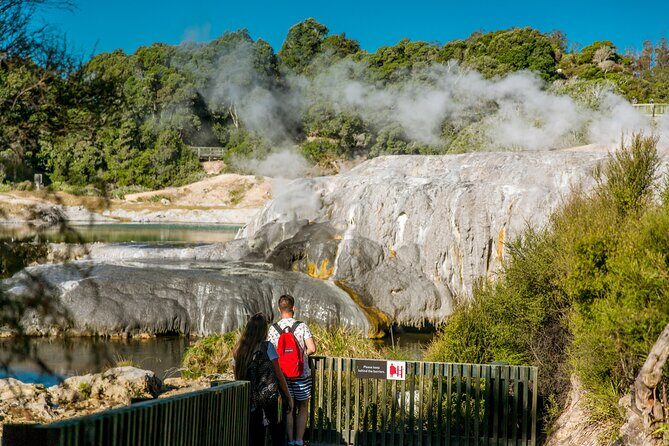 Te Puia Rotorua Experience with Optional Activities  Ex Auckland - What Travelers Are Saying