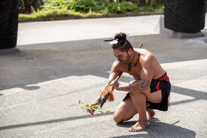 Te Puia Rotorua Experience with Optional Activities  Ex Auckland - The Sum Up