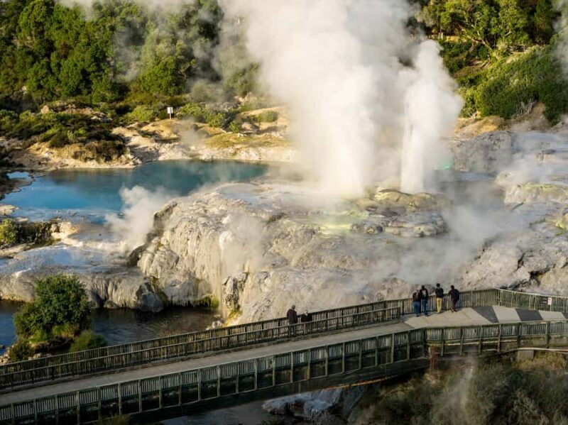 Te Puia: Te P Indigenous Combo - Tour, Dinner + Haka - Key Points